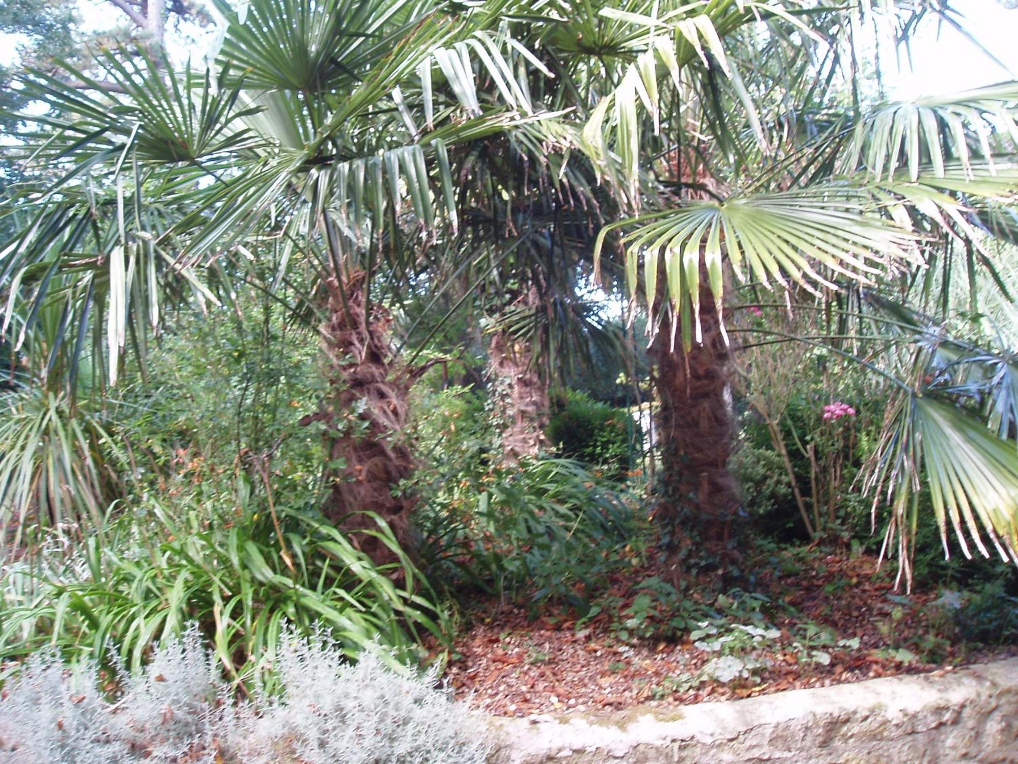 Bed & Breakfast Chateau Des Poteries Fresville